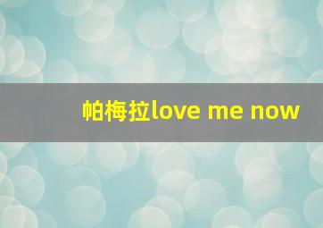 帕梅拉love me now